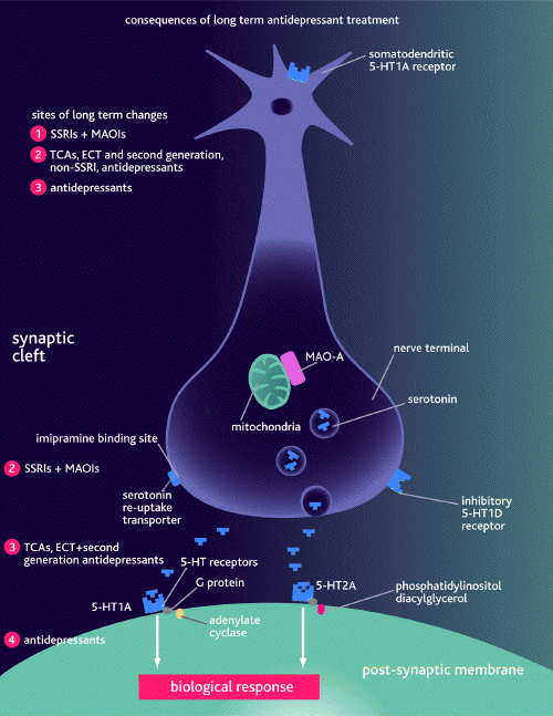 ssri