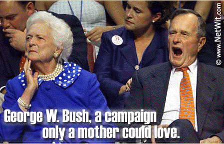 yawning-bush