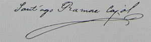 signature ramon cajal