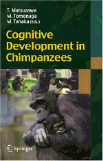 cognitive development