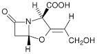 clavulanic