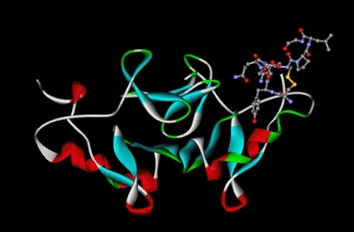 oxytocin