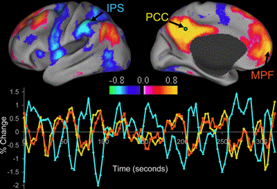 resting state