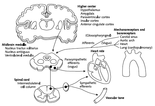 syncope