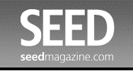 seed