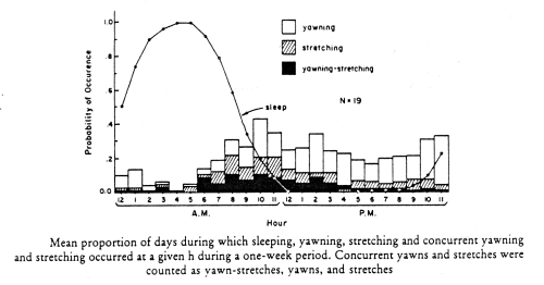 yawning_rate