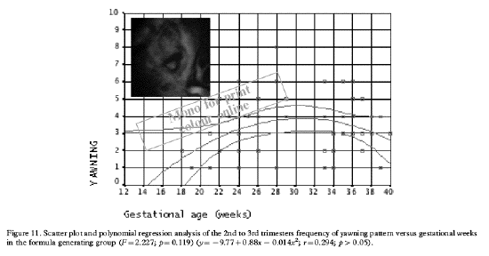 fetal yawning