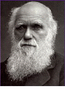 darwin