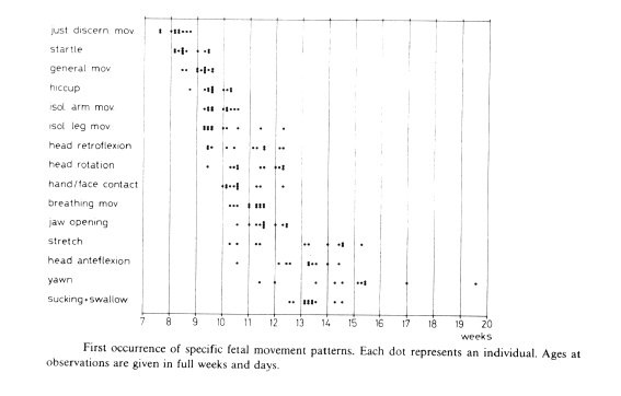 fetal-beahaviour