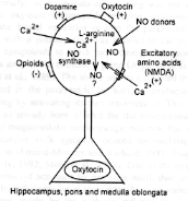 neurophy