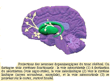 physiopath