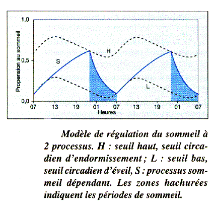 homéostasie du sommeil