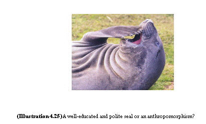 seal